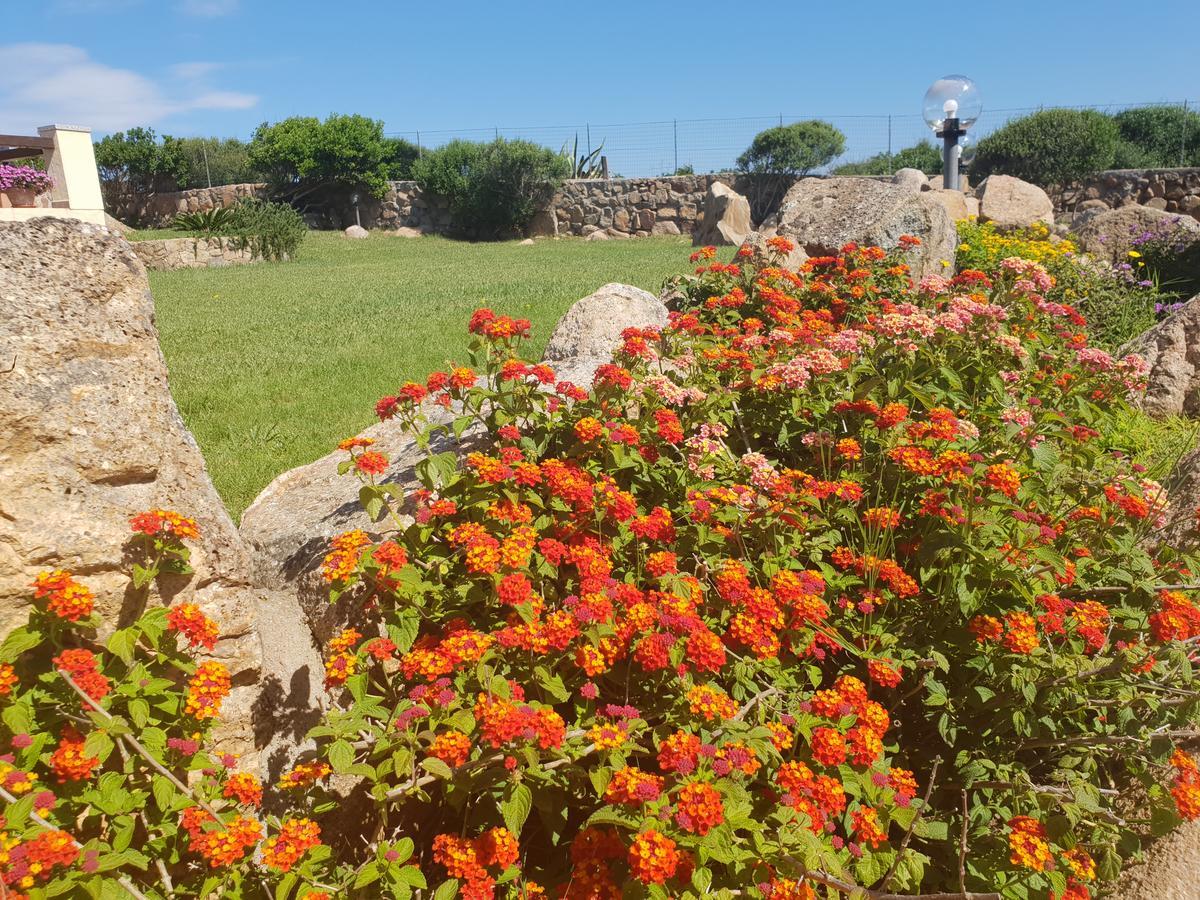 Villa Sprafundu La Maddalena  Exteriér fotografie