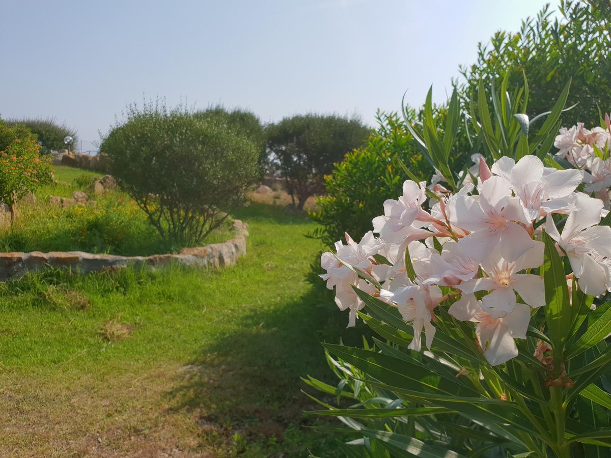 Villa Sprafundu La Maddalena  Exteriér fotografie