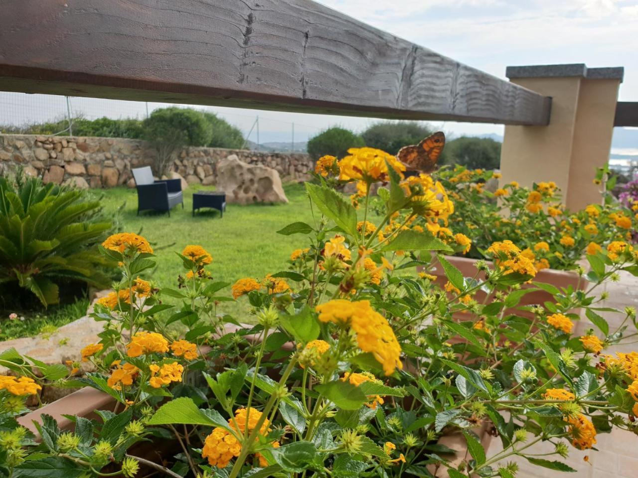 Villa Sprafundu La Maddalena  Exteriér fotografie